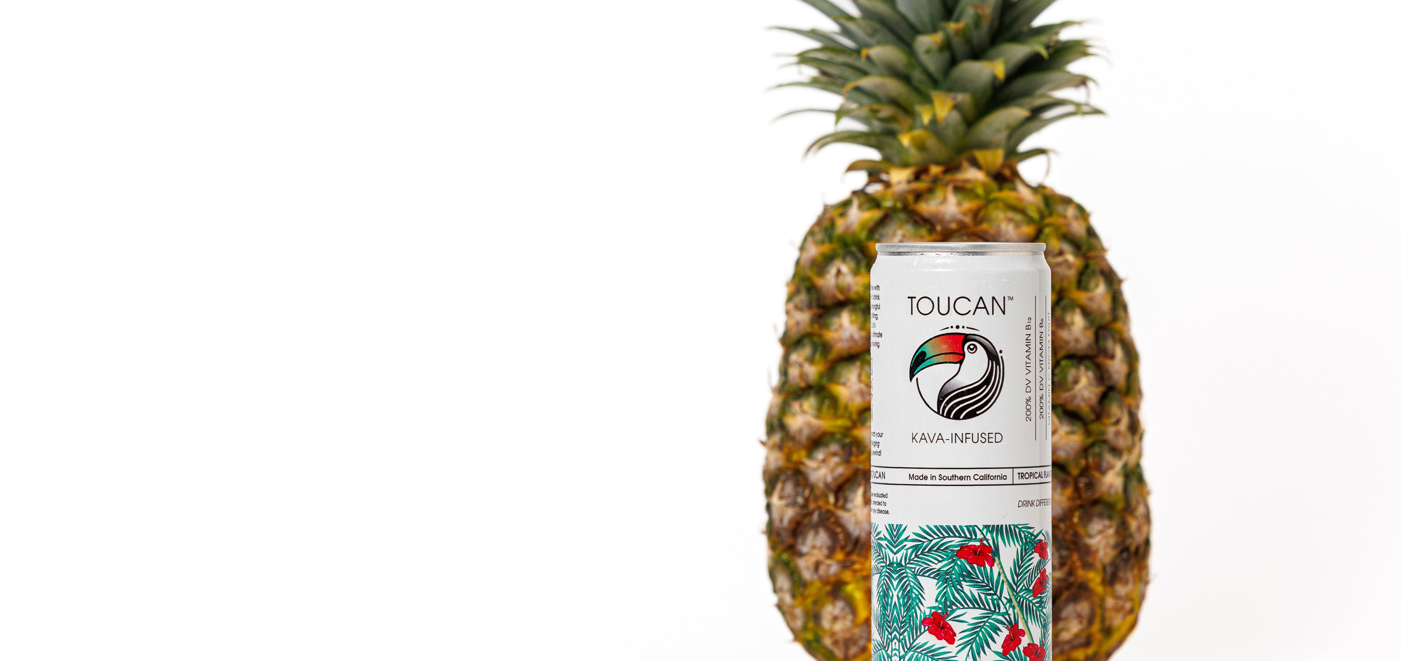 Toucan Kava Functional Beverage (Six Pack) - Order 2 for Free Shipping